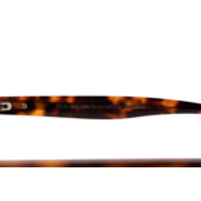 OC.CL.3858-2002.5
