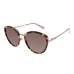 óculos de sol feminino chilli beans cat tartaruga oc.mt.3662.5706