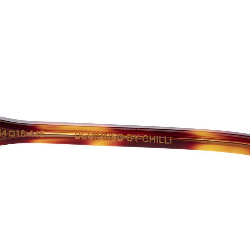LV.AC.0921-1506-Armacao-Para-Oculos-de-Grau-Masculino-Premium-Edition-Executivo-Tartaruga--5-